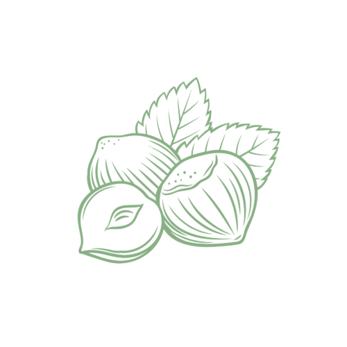 Fruits secs