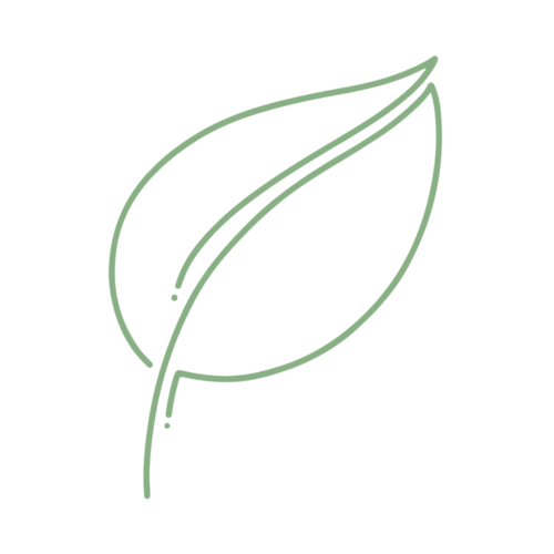 ALIMENTS ECOLÒGICS
